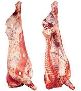 FROZEN BEEF CARCASS